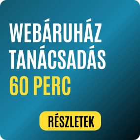 Webshop tanácsadás (1 óra)
