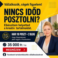   Havi 10 kreatív Facebook poszt és 2 blog vállalkozásoknak